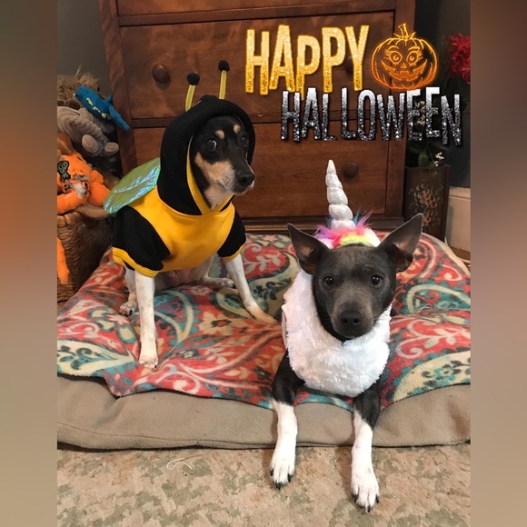 NIFTY 50’s!☀️POSHIVERSE SHOP&SHARE SIGNUP @sgoode001‼️ALSO PLZ MOVE 2 50’s #29❣️ - Picture 11 of 16